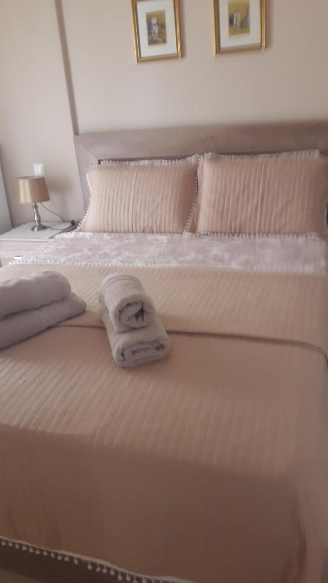 Giorgio House Meteora Apartment Kalampáka Ngoại thất bức ảnh