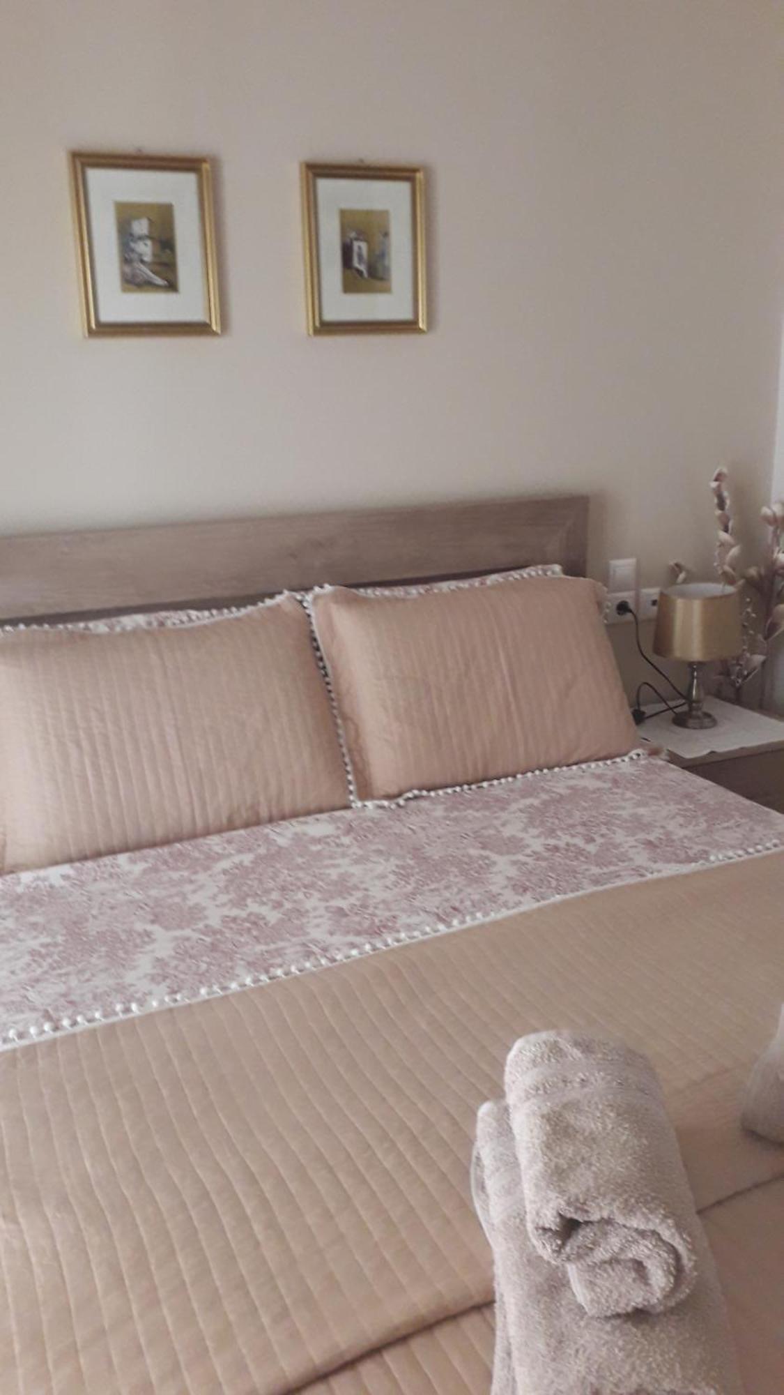 Giorgio House Meteora Apartment Kalampáka Ngoại thất bức ảnh